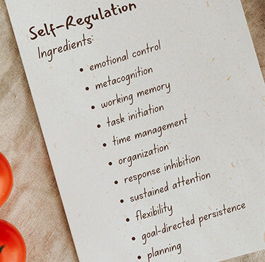 Executive Skills Workshop